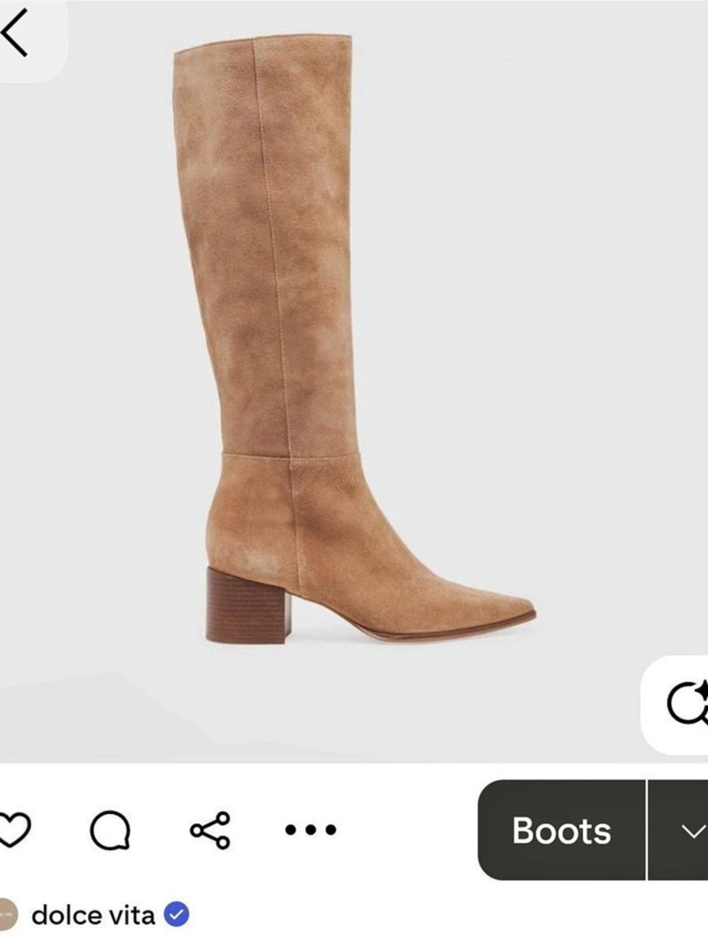 dolce vita Kirson wide calf boot suede mushroom 9WC/207 NEW WITH BOX
